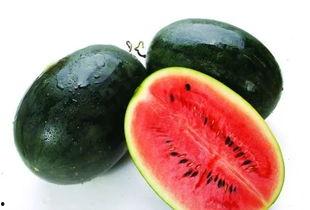 cggo吃瓜视频,揭秘电竞圈幕后故事