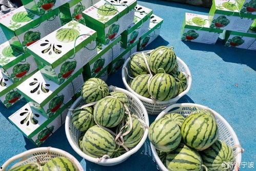 博子吃瓜,揭秘娱乐圈背后的那些事儿