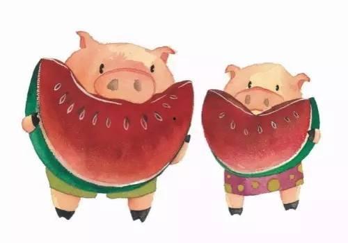 大猪吃的瓜叫,探寻瓜果背后的奇妙故事