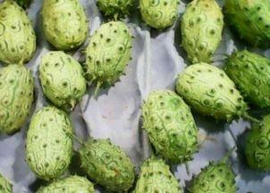 刺角瓜如何吃,探索美味与营养的完美结合