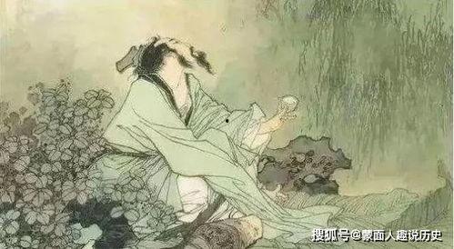 吃瓜系统宋侍郎,揭秘宫廷背后的趣味与智慧