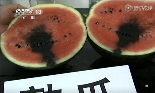 朝阳爆料吃瓜视频,揭秘吃瓜视频背后的真相与幕后故事