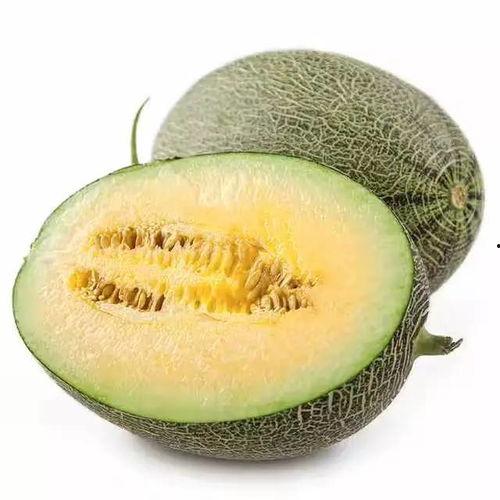 啥蜜瓜怎么吃,从切片到创意料理”